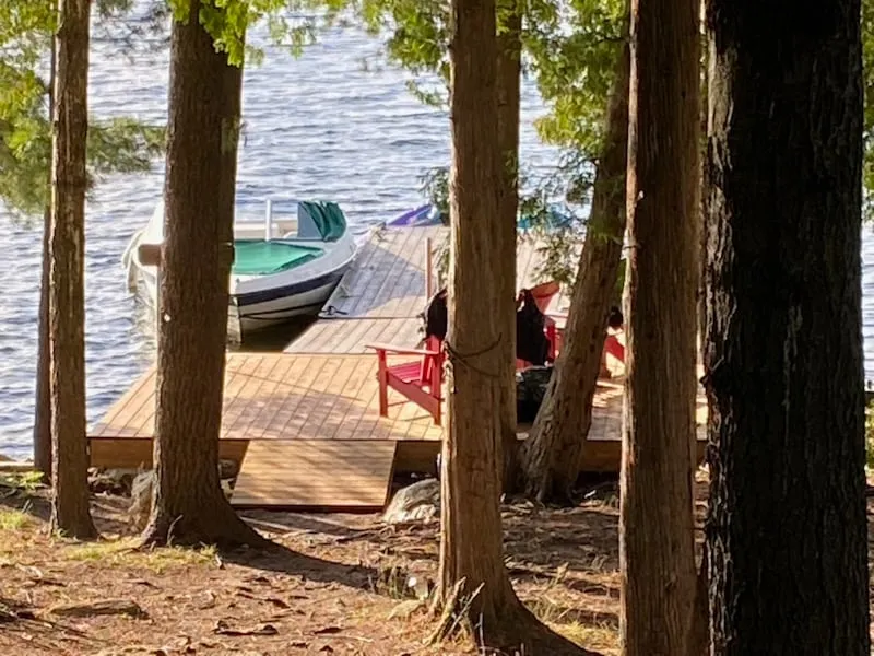 The new dock seen through tall tree trunks, with red lounge chairs and a boat moored alongside.
