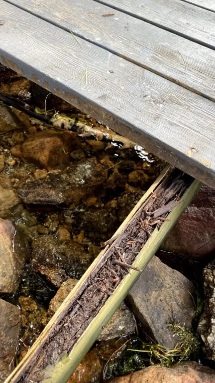 A close-up of the old dock's rotted support beam, crumbling apart above rocks in shallow water.